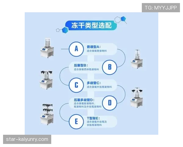 中圈开球规则详解：判定条件和实际操作规范